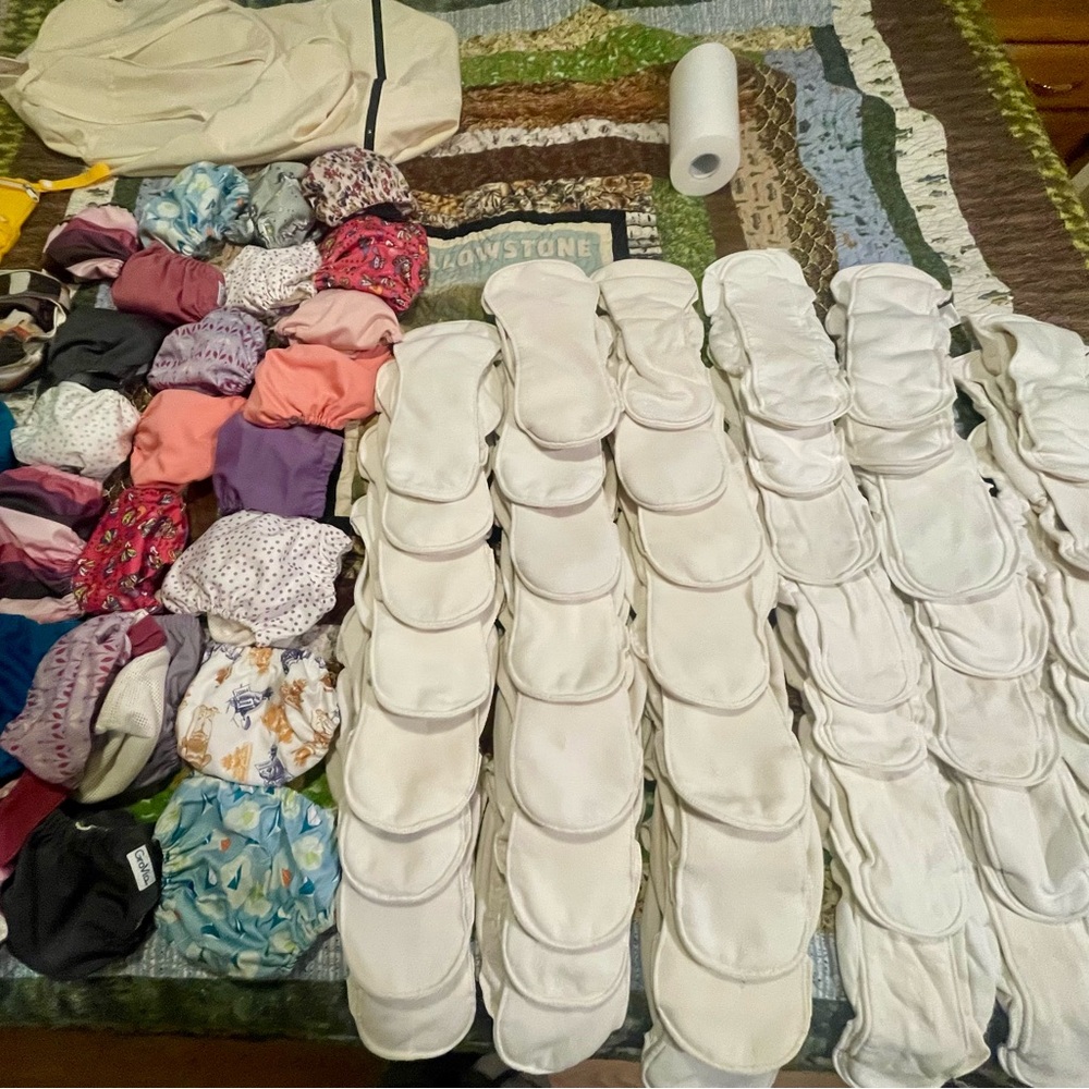 Assorted Cloth Diaper Set with Inserts